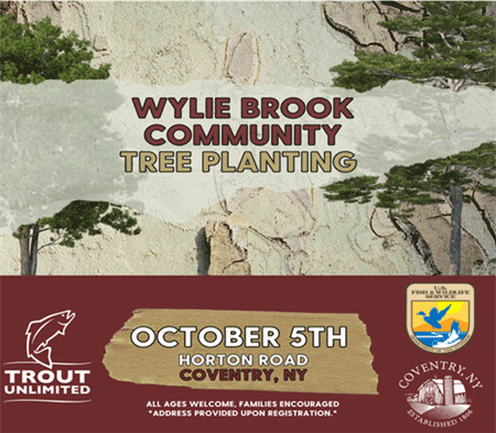 Wylie Brook Community Tree Planting on October 5th, 2024